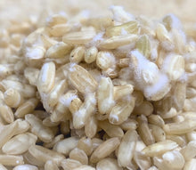 Load image into Gallery viewer, Australian Organic Dried Brown Rice Koji