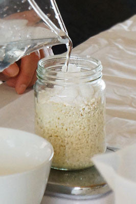 How to make Shio KOJI (Salt KOJI)