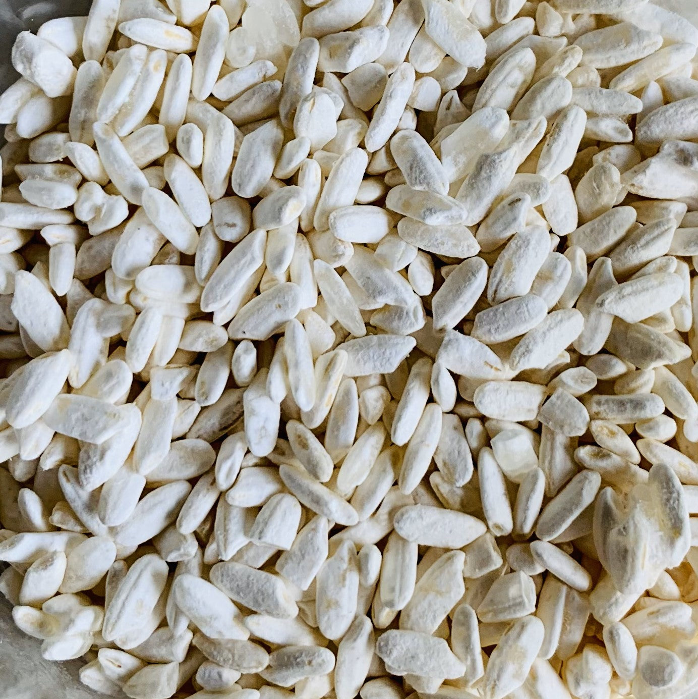 Koji Rice A Beginner's Guide To Koji By Sam Cooper Chef Sam Black