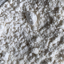 Load image into Gallery viewer, Koji Starter / Tane Koji (Aspergillus oryzae) Standard - All Purpose
