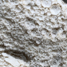 Load image into Gallery viewer, Koji Starter / Tane Koji (Aspergillus oryzae) for AMAZAKE &amp; SAKE / BEGINNER

